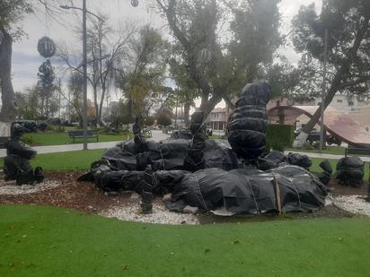 Protección de plantas de ornato: Las palmeras resisten la helada