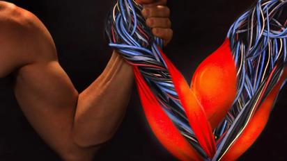 Desbloquear el potencial (super)humano del músculo artificial