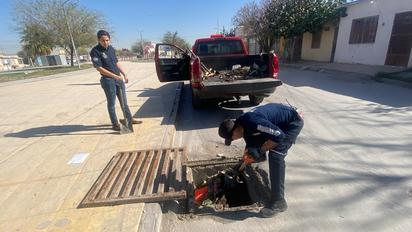 Realizan acciones para la prevención de atención a lluvias en Torreón