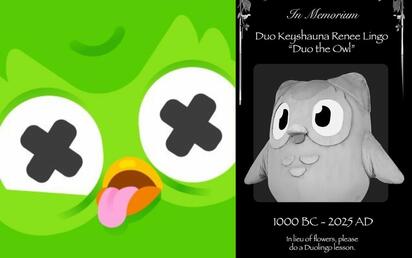 Duolingo anuncia la muerte de su mascota 'Duo': 'Tenía muchos enemigos'