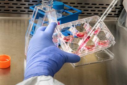 Descubren una debilidad en las defensas del cáncer de pulmón