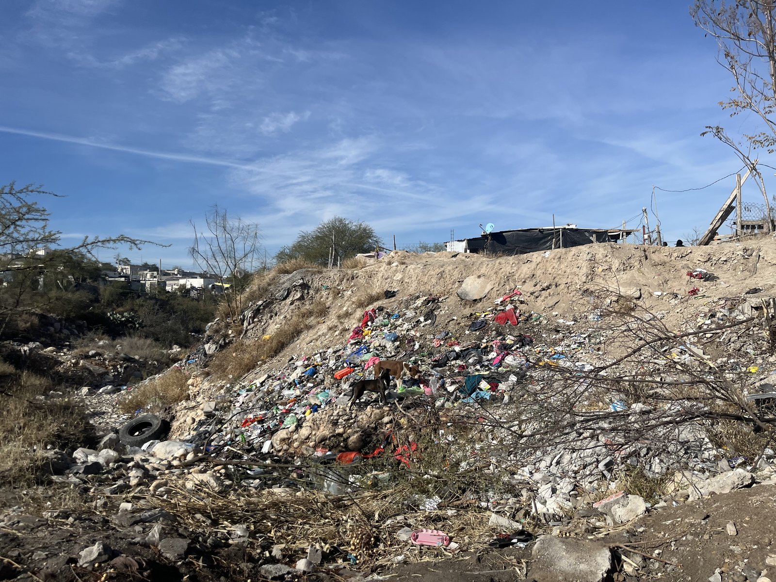 Basura