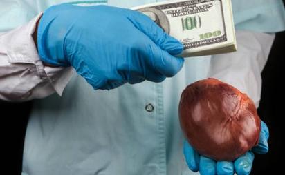 ¿Es delito vender un órgano propio en México? De la donación al tráfico de órganos
