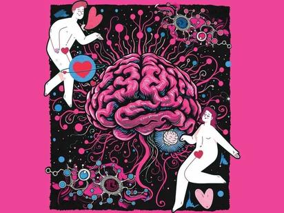 “Te amo con todo mi cerebro”; flechazo, química pura