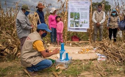 Día del Agrónomo: reconocimiento a los pilares del desarrollo agrícola en México