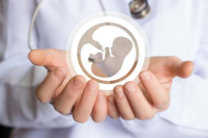 Bebé abortado en Castaños se mantenía en formación de sus órganos 