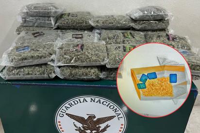 GN asegura narcóticos y vapeadores con cannabis en aeropuerto de Querétaro