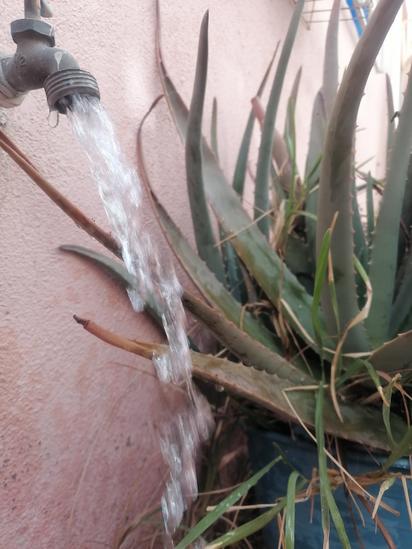 Calor extremo eleva consumo de agua a 1350 litros por segundo en marzo