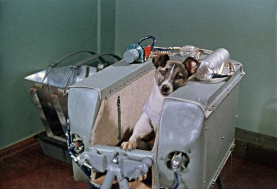 67d99dc320fbe.jpg