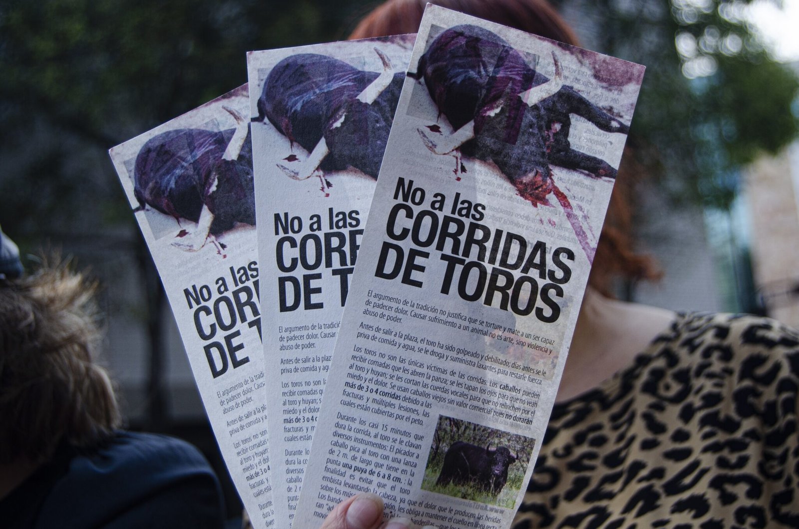 toros