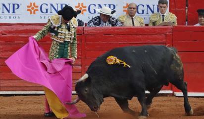 “El toro tiene que morir con dignidad”, torero sobre los cambios a las corridas de toros