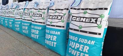 Productores de Piedras Negras recibirán semilla subsidiada de sorgo