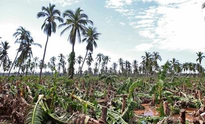 Gobierno deberá garantizar documentos gratuitos tras desastres naturales