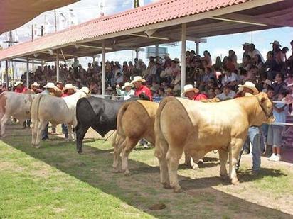 Inicia registro para el concurso del Becerro Gordo