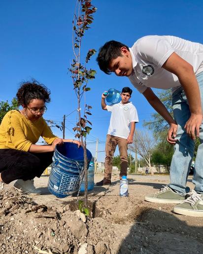 Jóvenes por Coahuila reforesta plaza pública en campaña ambiental