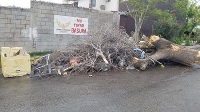 Prolifera basurero clandestino en la colonia Cumbres