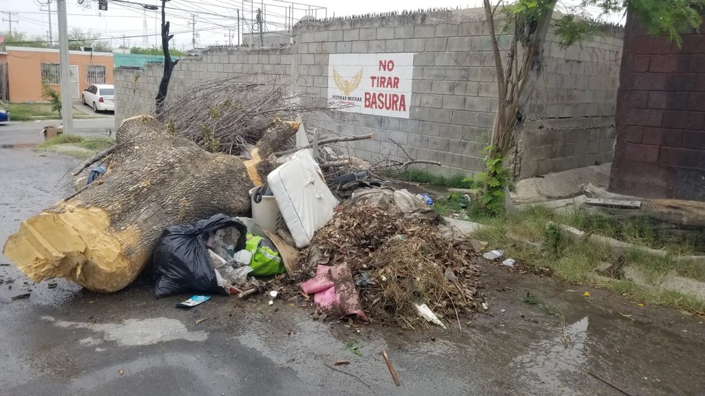 Ecología: Vecinos de la colonia Cumbres reportan la proliferación de un basurero clandestino en la calle Nevado de Toluca.