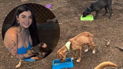 Influencer Karely Ruiz se une a proyecto 'Adogtame' como madrina