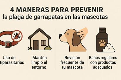 4 maneras de prevenir la plaga de garrapatas en mascotas
