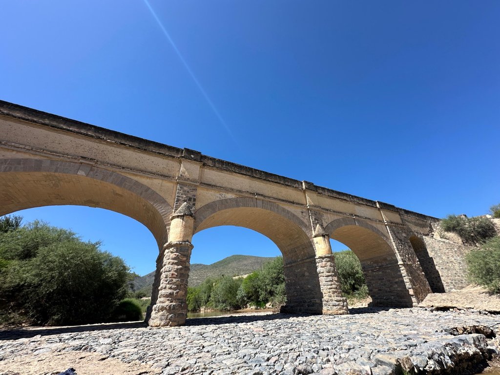turismo: Jimulco es un área de gran riqueza natural y cultural, hogar de especies endémicas y ecosistemas.