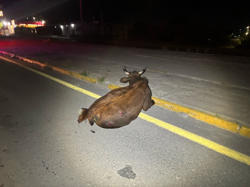 Accidente