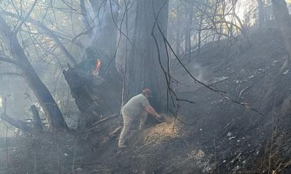 Incendio provocado preocupa a CONANP