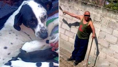 Hombre mata a perra y deja huérfanos a sus cachorros en Edomex