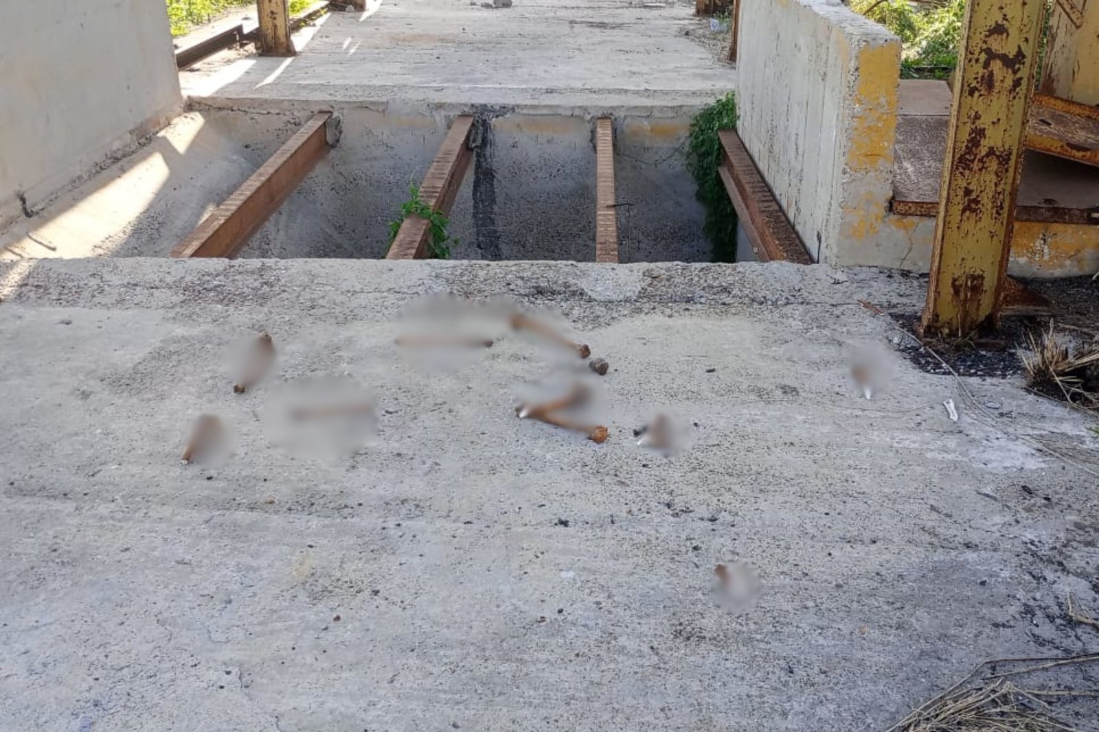 Seguridad
