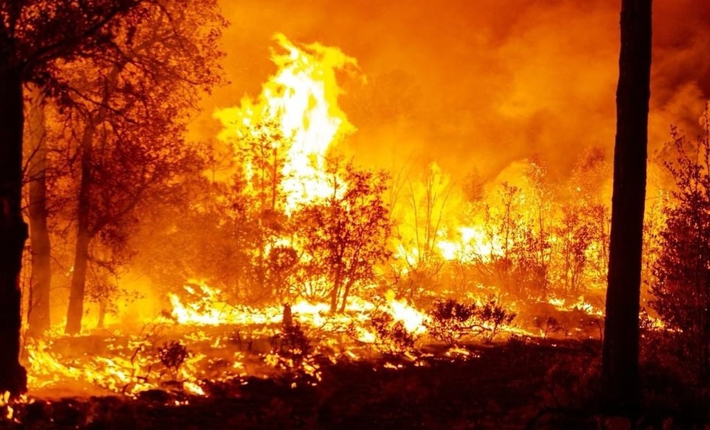 Incendio