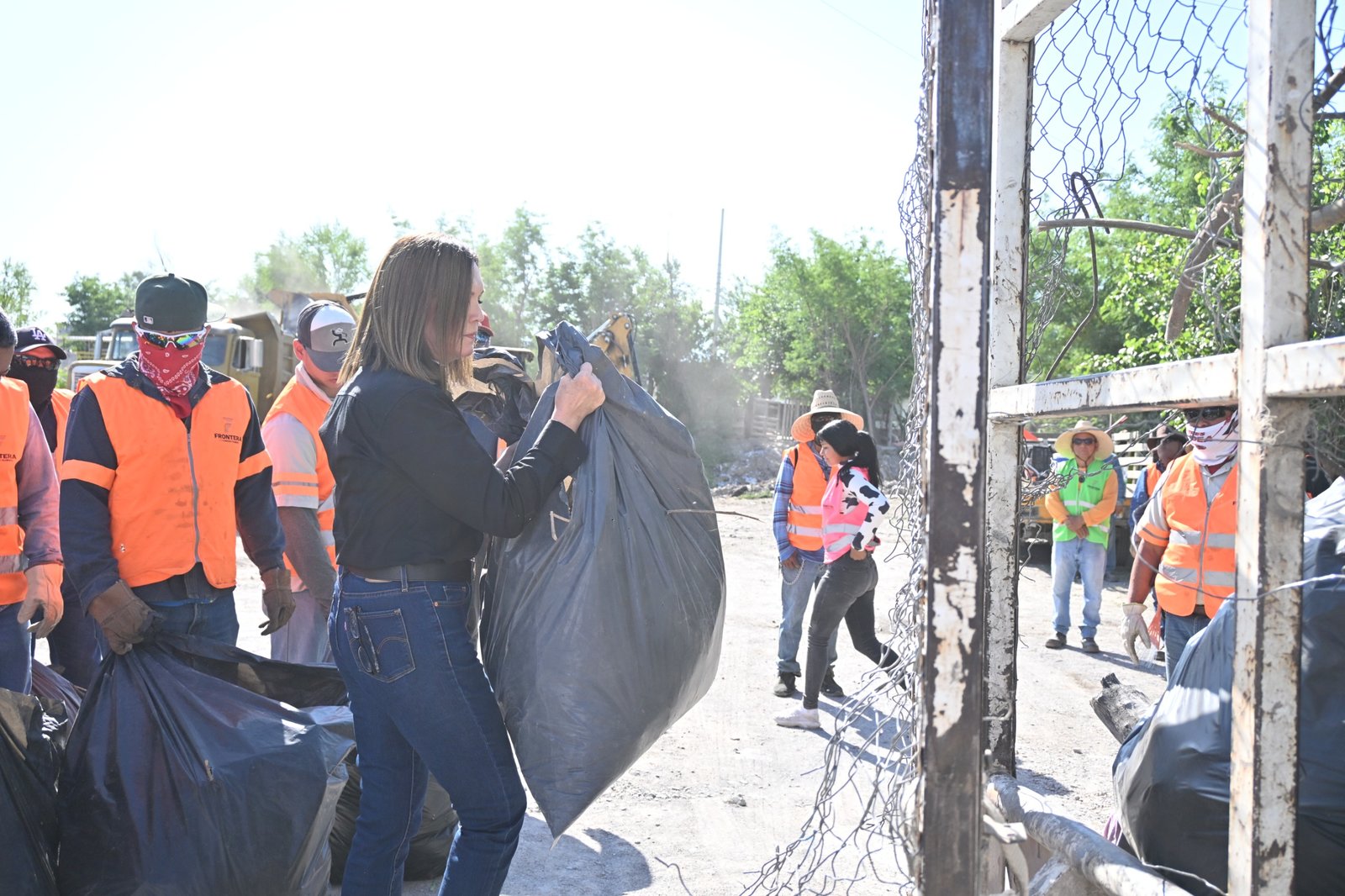 lucha contra el dengue