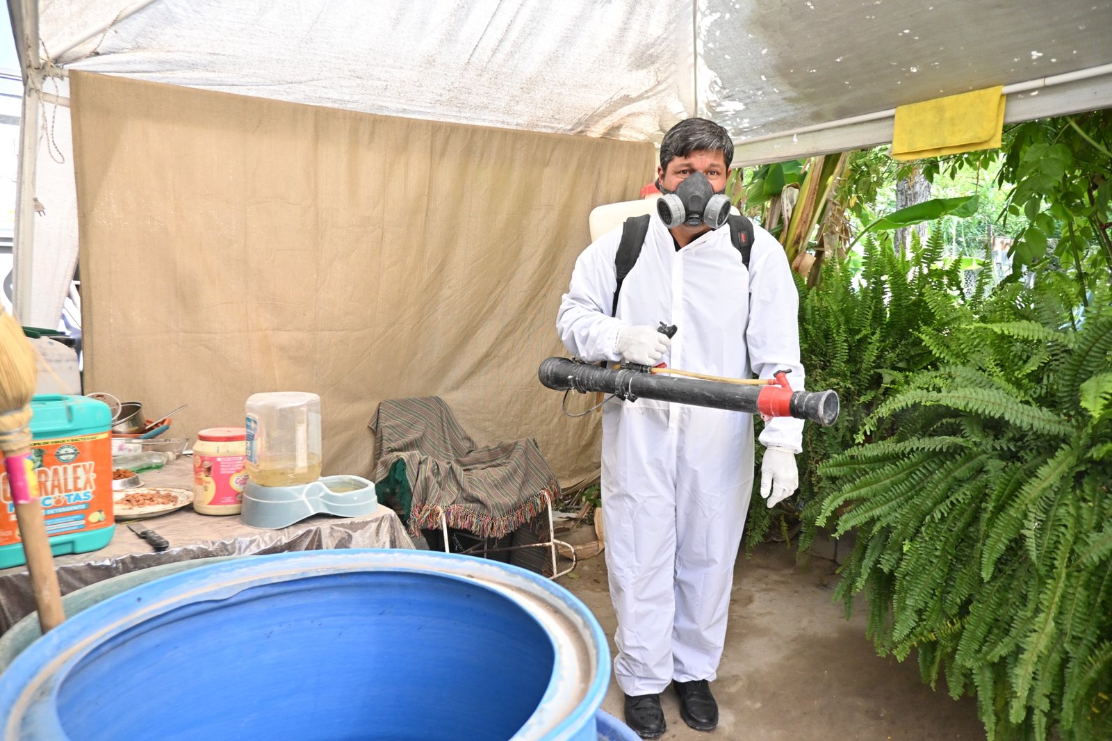 lucha contra el dengue