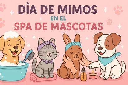 Relax & groom: Spa para tus mascotas favoritas 