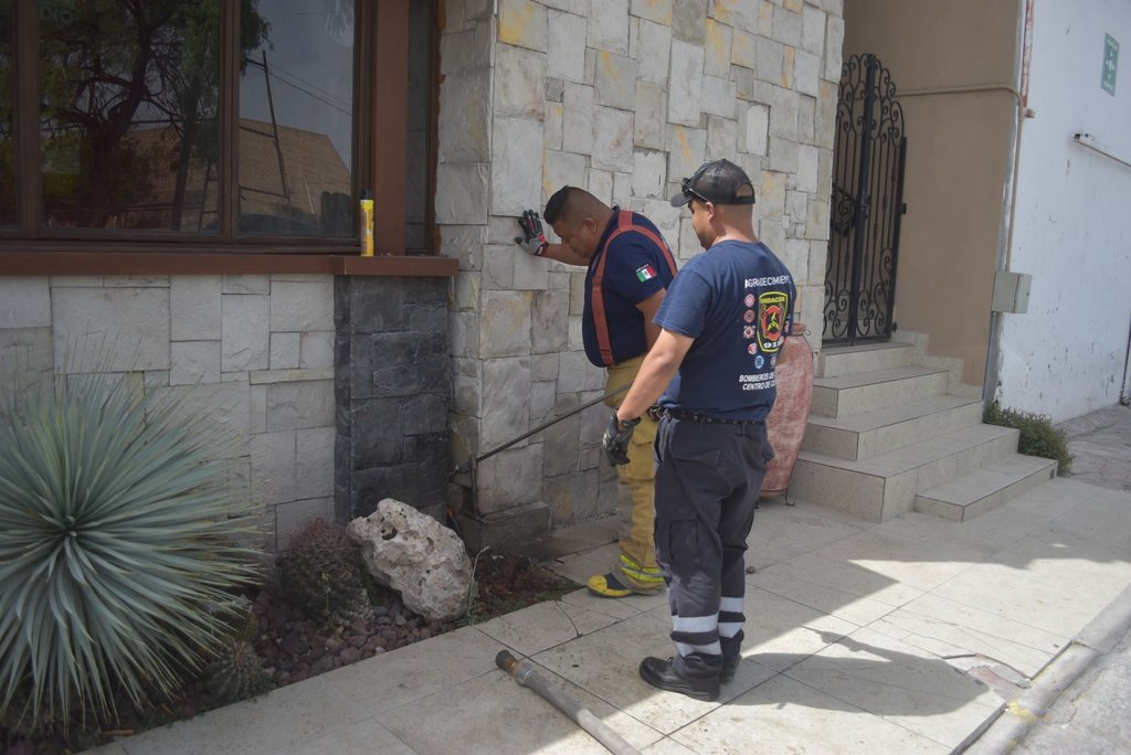 seguridad: Protección civil y bomberos acudieron a capturar el reptil y soltarlo en su hábitat natural
