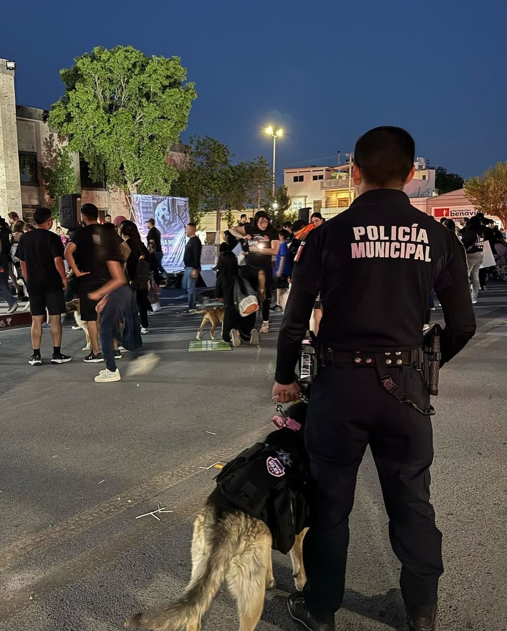 seguridad