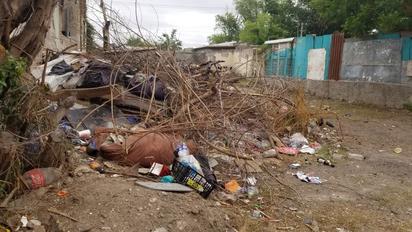 Basurero clandestino afecta imagen urbana en zona centro