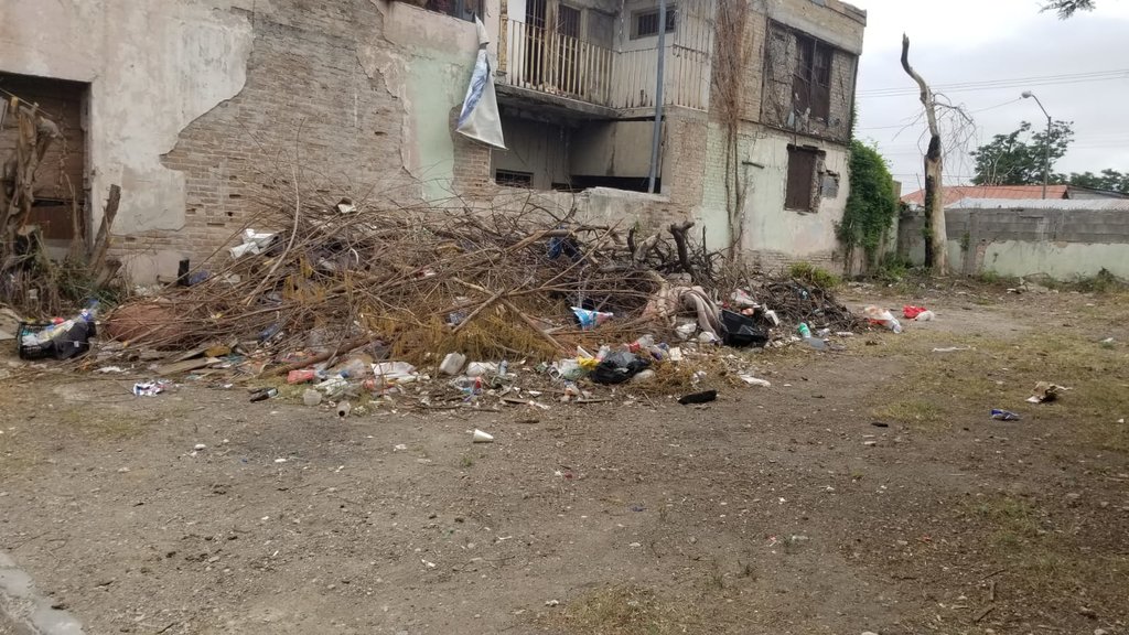 Medio Ambiente