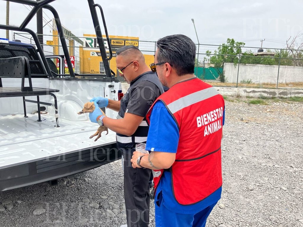 Seguridad