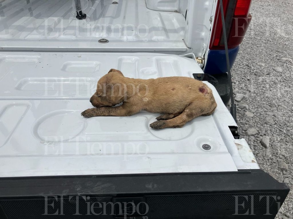 Seguridad