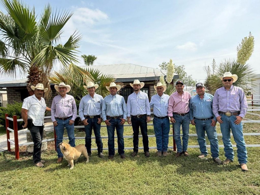 concurso becerro gordo