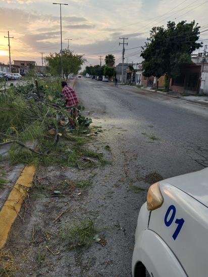  Atienden afectaciones que dejaron las ráfagas de viento el domingo 