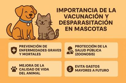  La importancia de la vacunación y desparasitación en mascotas