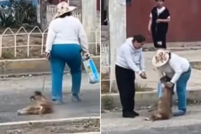 ¡Escándalo en Pachuca! Mujer arrastra cruelmente a perrita inconsciente