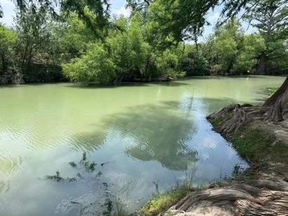 El Río Sabinas enfrenta una grave crisis ambiental