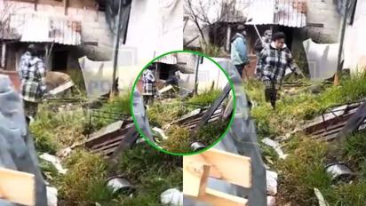 ¡Indignante! Hombre asesina a perro a mazazos en Edomex