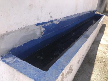 Ssa investiga casos de dengue en la región centro