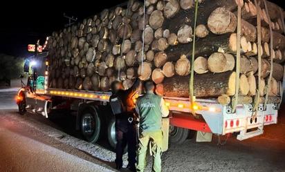 Profepa decomisa madera ilegal en Zitácuaro, Michoacán