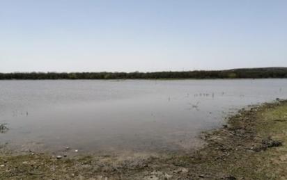 Ejidos de Piedras Negras mejoran abasto de agua tras lluvias