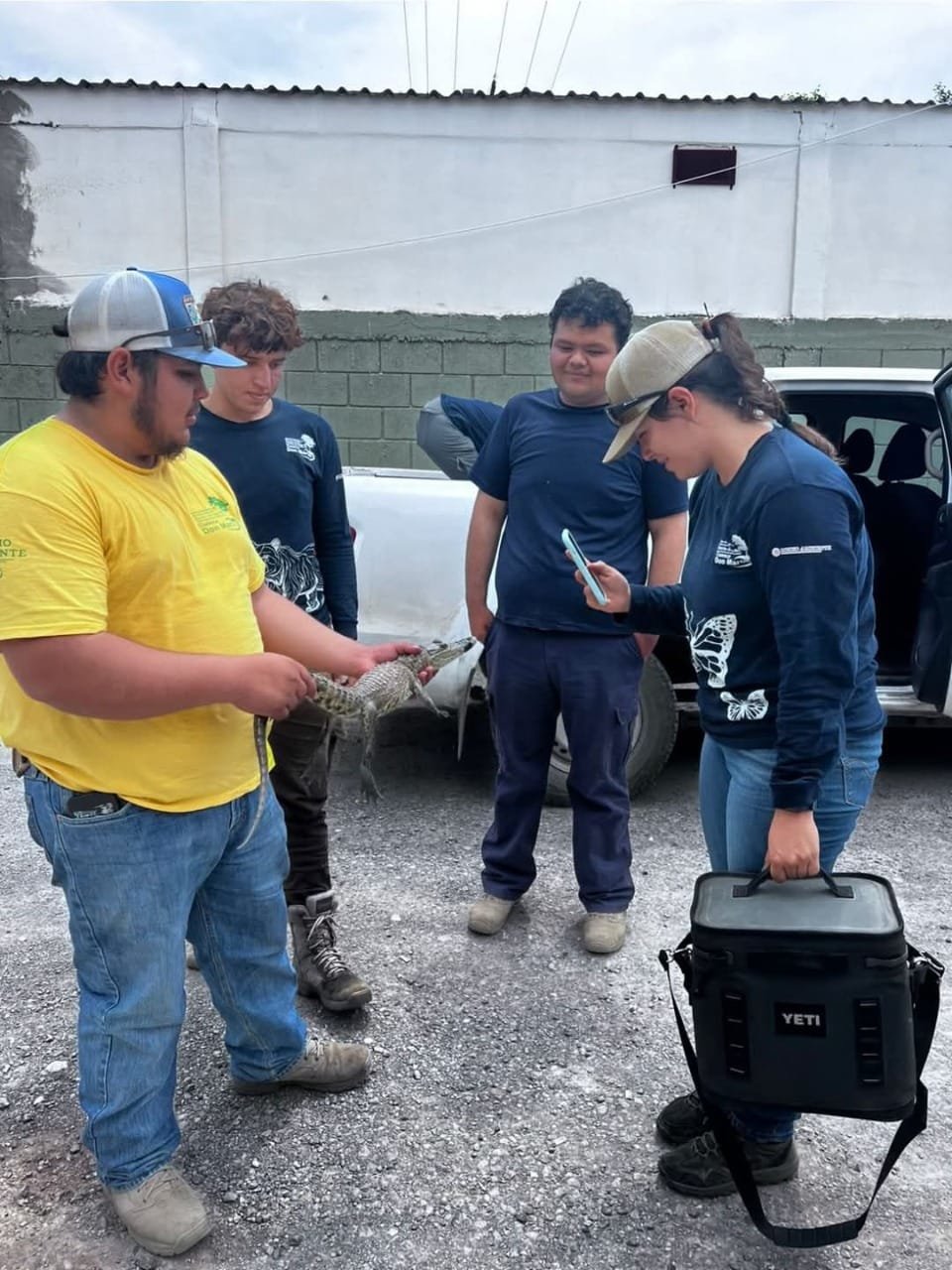 Seguridad 