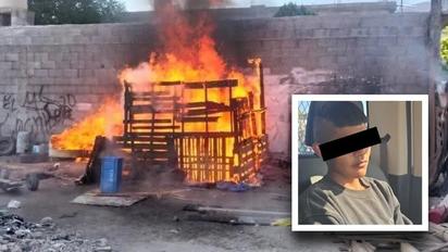 Crueldad animal en Saltillo: Piden 3 años de internamiento para menor acusado