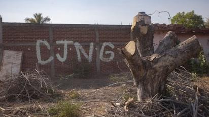 Primera acusación en EEUU contra mexicana por ayudar al CJNG